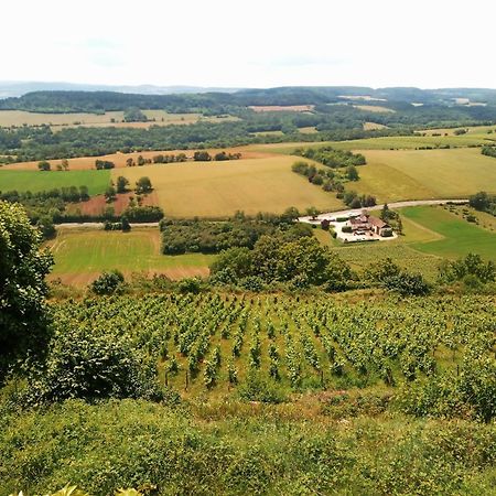 Gite Le Delice Villa Tannay  Exterior photo